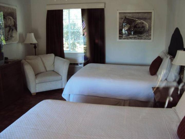 La Siesta Motel 투산 객실 사진