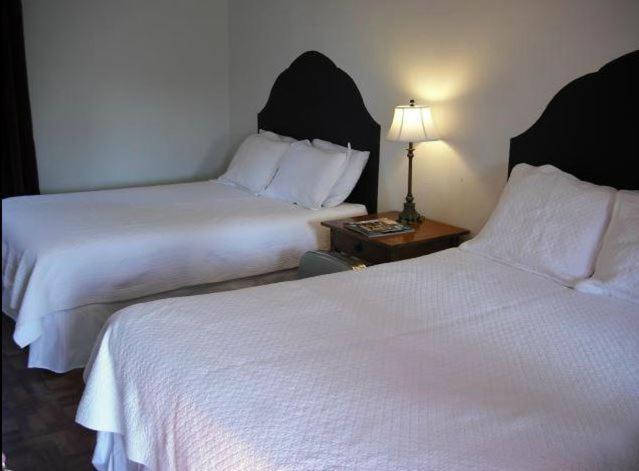 La Siesta Motel 투산 객실 사진